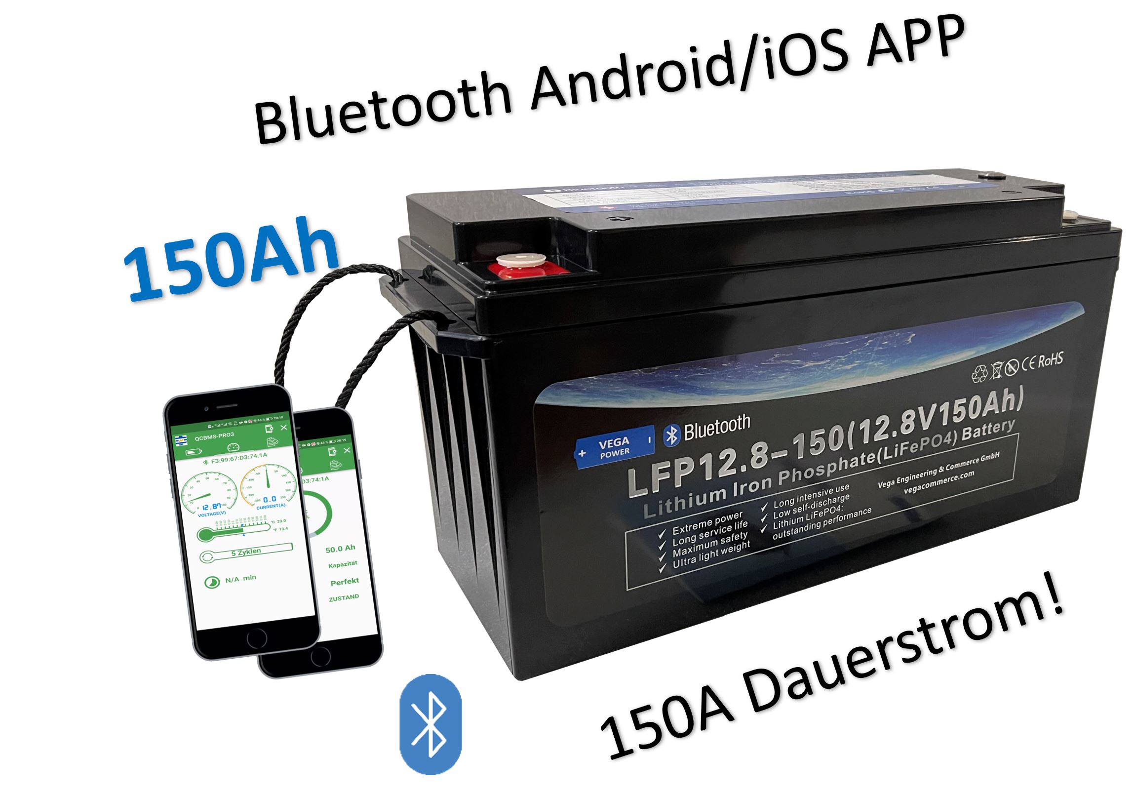 VEGA Power LFP12.8-100 LiFePO4 12.8V 100Ah Batterie AKKU